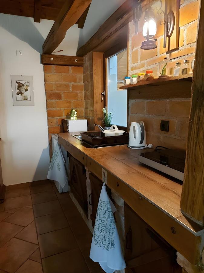Studio Apartman Buteo Jastrebarsko Exteriér fotografie